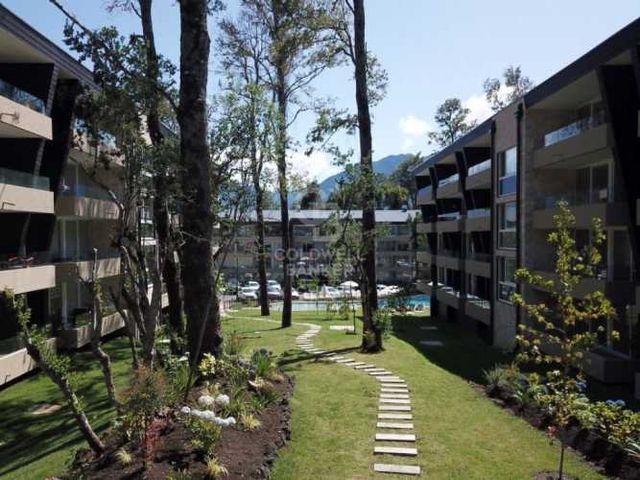 Hermoso e Iluminado Departamento en Pucón