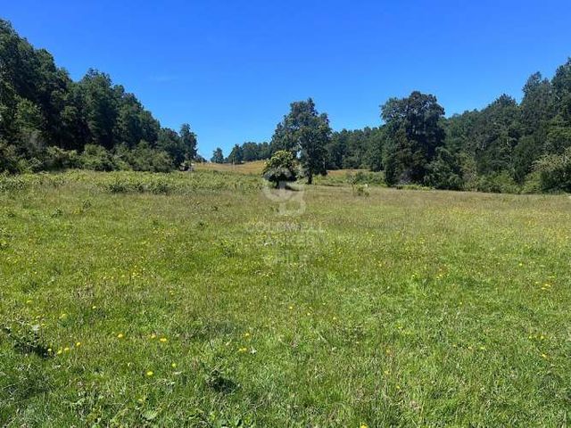 Hermoso Campo en Futrono.