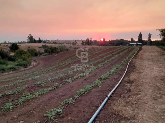 Terreno Agrícola en Chillán