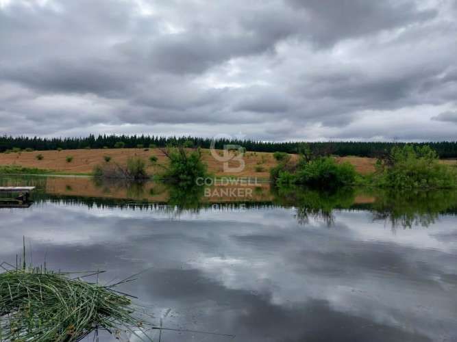 Terreno Agrícola en Chillán