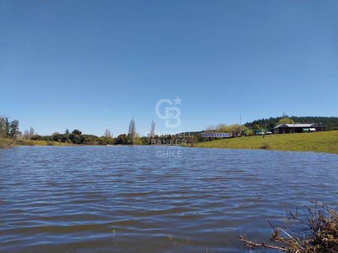 Terreno Agrícola en Chillán