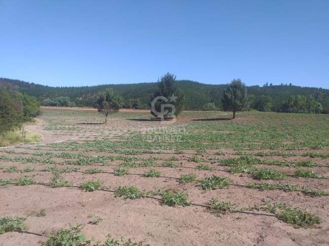 Terreno Agrícola en Chillán