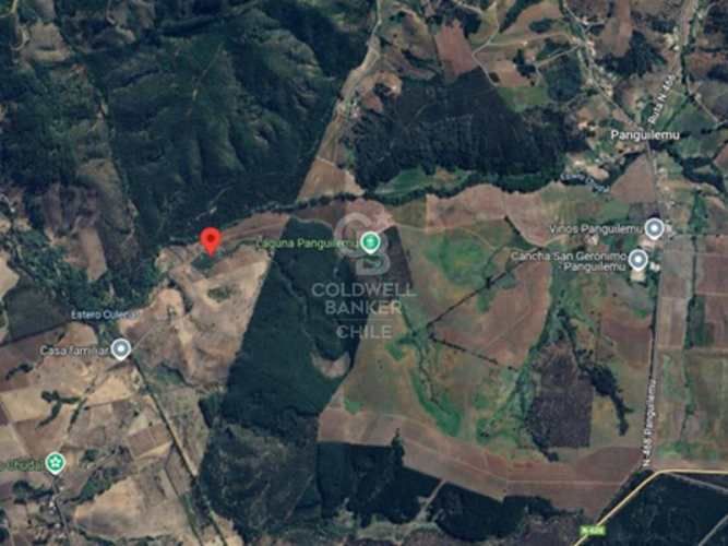 Terreno Agrícola en Chillán