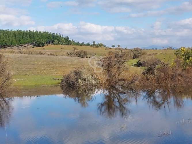 Terreno Agrícola en Chillán