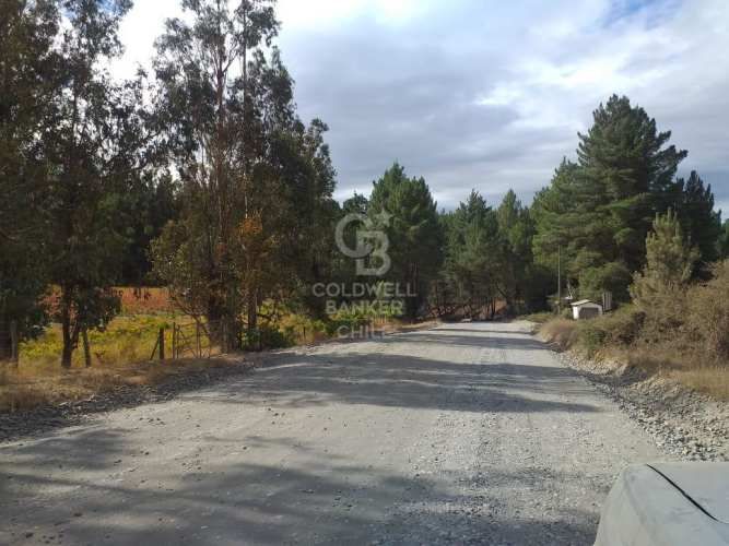 Terreno Agrícola en Chillán