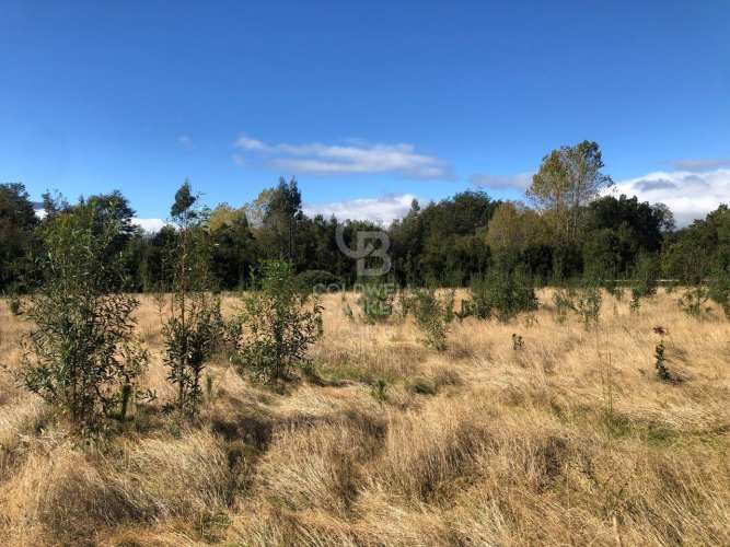 Salida directa al Lago y vista al Volcán
