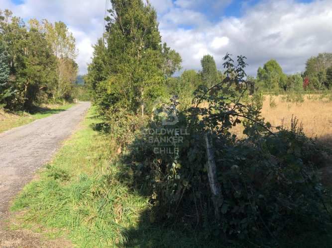 Salida directa al Lago y vista al Volcán