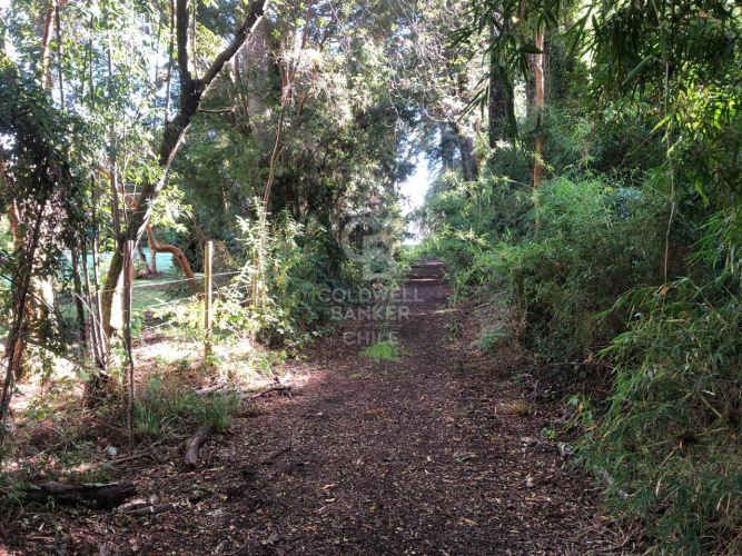Salida directa al Lago y vista al Volcán