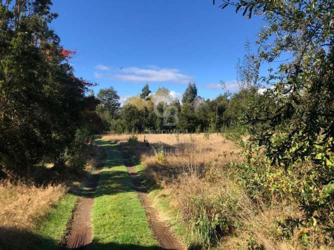 Salida directa al Lago y vista al Volcán