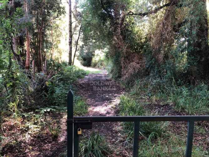 Salida directa al Lago y vista al Volcán
