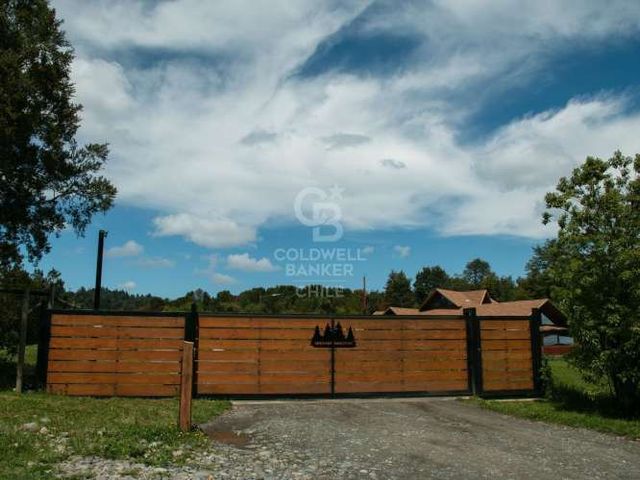 Bosque para Conservación | Árboles Centenarios