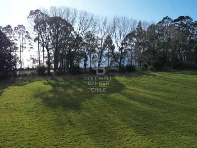 2,6 hectáreas con 200 m de frente en km 22 hacia Ensenada