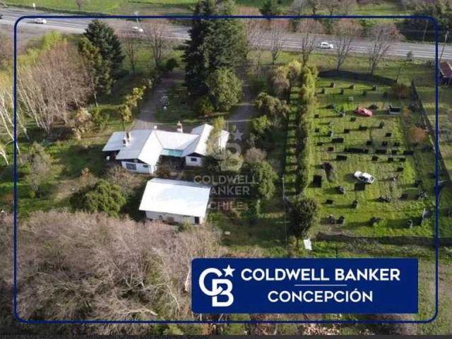 GRAN TERRENO EN AUTOPISTA - LOS ANGELES VIII REGIÓN