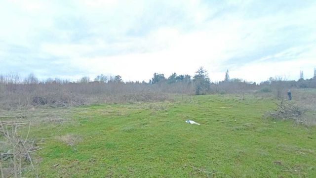 Los Angeles, camino San Gerardo (112451)