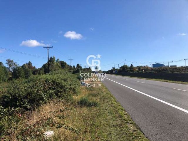 Terreno 5,85 ha junto a Ruta 5 Sur km 1.039