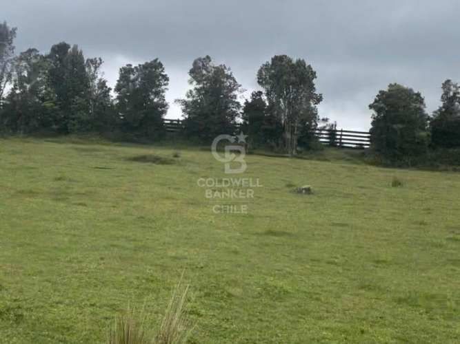 Hacienda Valle Lo castillo, Calbuco