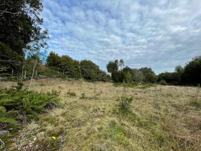 Parcela 5.750 m² con Bosque Nativo, Cerca de Puerto Varas