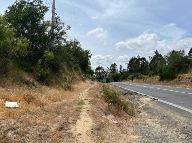 Espectacular Terreno en Ruta a Algarrobo