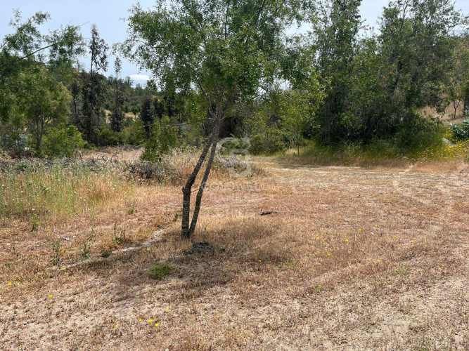Espectacular Terreno en Ruta a Algarrobo
