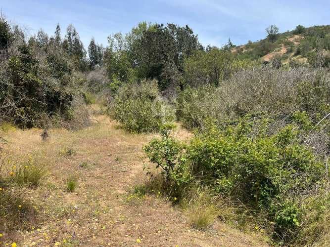 Espectacular Terreno en Ruta a Algarrobo