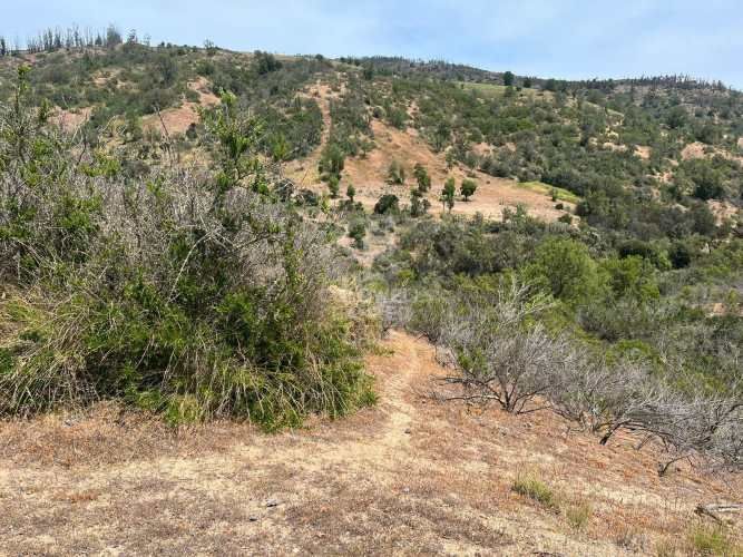 Espectacular Terreno en Ruta a Algarrobo