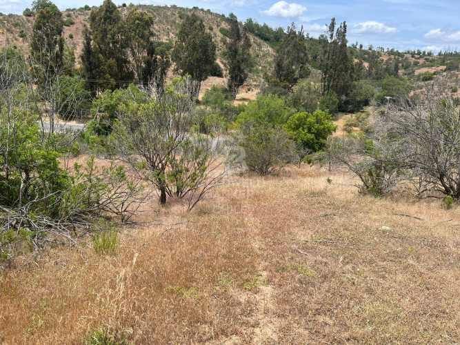 Espectacular Terreno en Ruta a Algarrobo