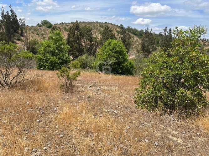 Espectacular Terreno en Ruta a Algarrobo
