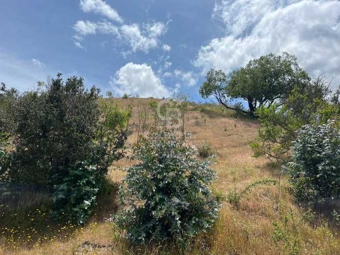 Espectacular Terreno en Ruta a Algarrobo