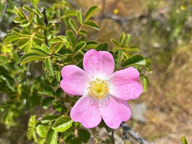 Espectacular Terreno en Ruta a Algarrobo