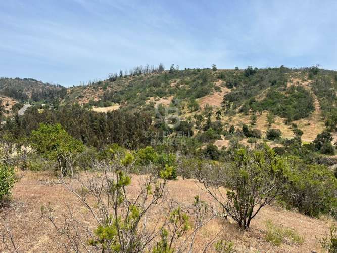Espectacular Terreno en Ruta a Algarrobo