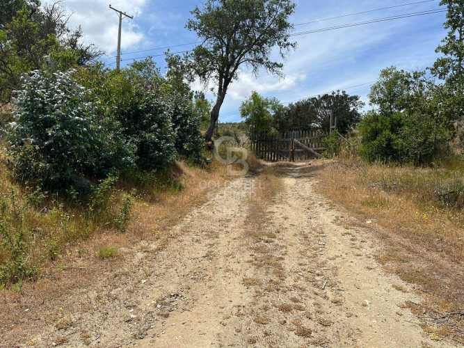 Espectacular Terreno en Ruta a Algarrobo
