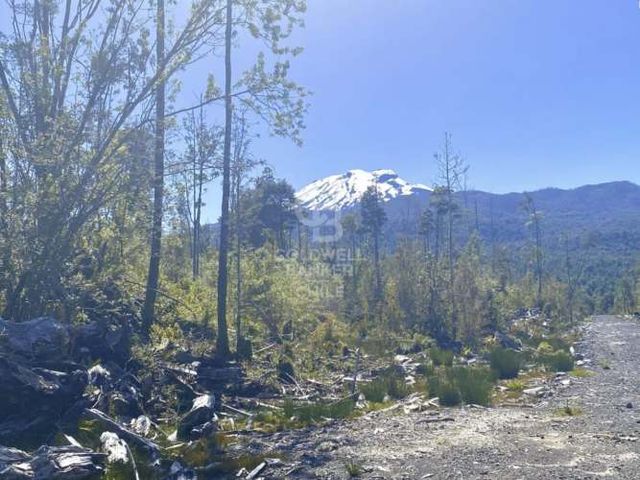 Parcela en Colonia Río Sur: Naturaleza y Conectividad