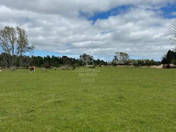 Oportunidad!Venta de Campo con Río en Olmopulli,Maullin