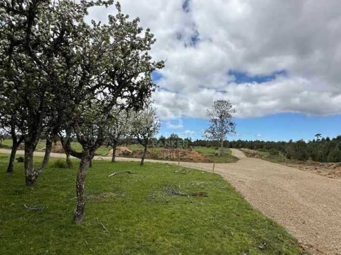 Oportunidad!Venta de Campo con Río en Olmopulli,Maullin