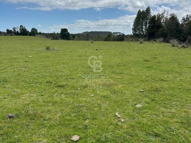 Oportunidad!Venta de Campo con Río en Olmopulli,Maullin