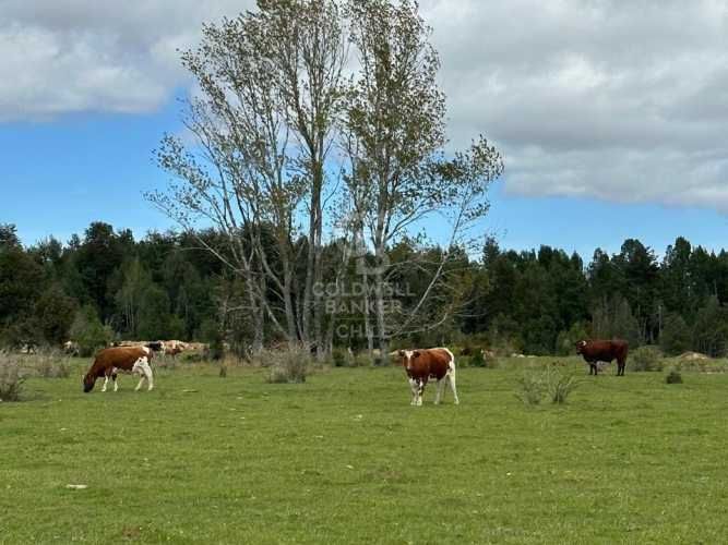 Oportunidad!Venta de Campo con Río en Olmopulli,Maullin