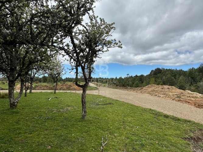 Oportunidad!Venta de Campo con Río en Olmopulli,Maullin
