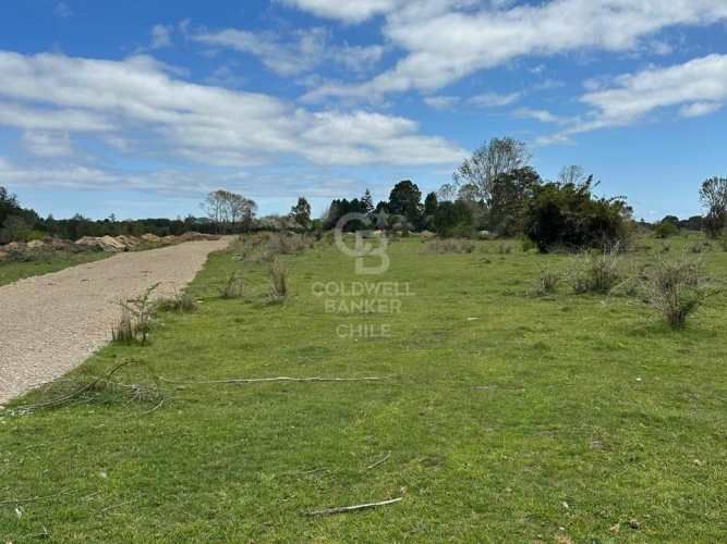 Oportunidad!Venta de Campo con Río en Olmopulli,Maullin