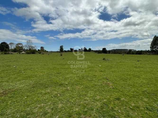 Oportunidad!Venta de Campo con Río en Olmopulli,Maullin