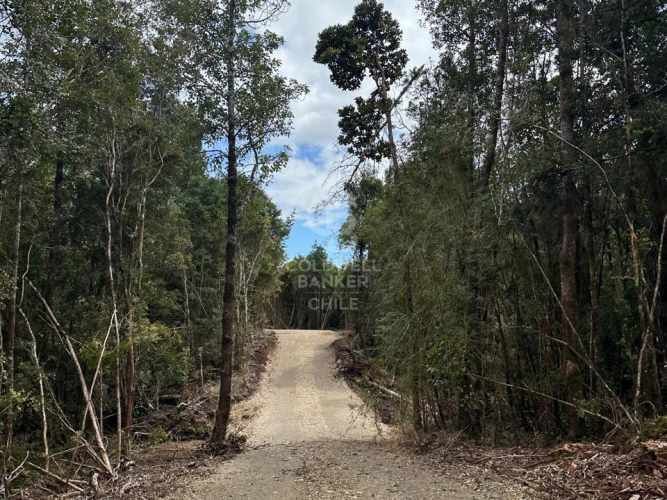 Oportunidad!Venta de Campo con Río en Olmopulli,Maullin