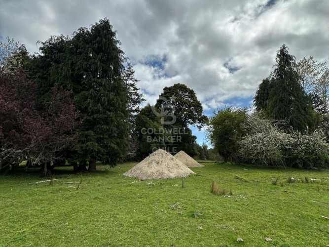Oportunidad!Venta de Campo con Río en Olmopulli,Maullin