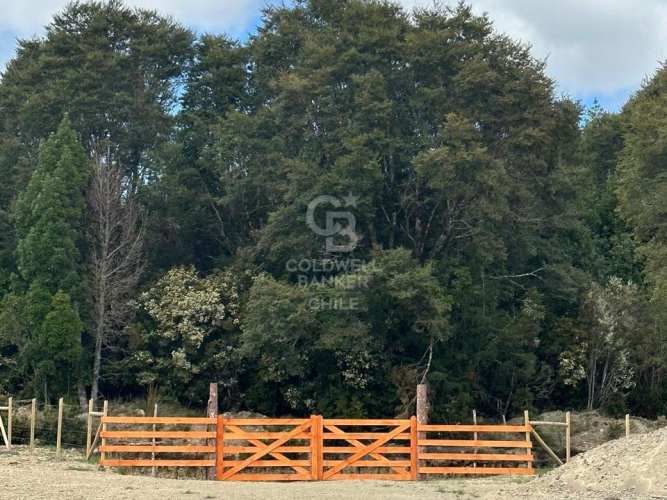 Oportunidad!Venta de Campo con Río en Olmopulli,Maullin