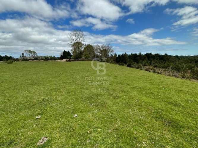 Oportunidad!Venta de Campo con Río en Olmopulli,Maullin