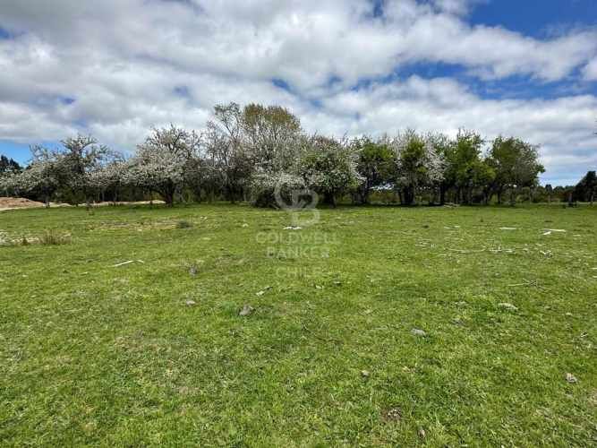 Oportunidad!Venta de Campo con Río en Olmopulli,Maullin