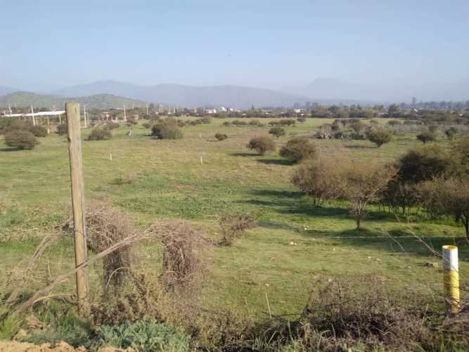 SITIO Ruta 68, Km 41, Camino Lo Águila, Curacaví, RM.