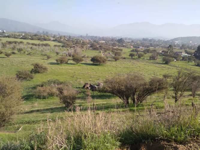 SITIO Ruta 68, Km 41, Camino Lo Águila, Curacaví, RM.