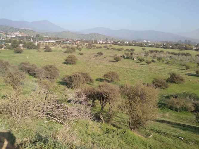SITIO Ruta 68, Km 41, Camino Lo Águila, Curacaví, RM.
