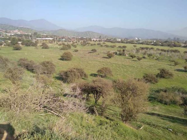 SITIO Ruta 68, Km 41, Camino Lo Águila, Curacaví, RM.
