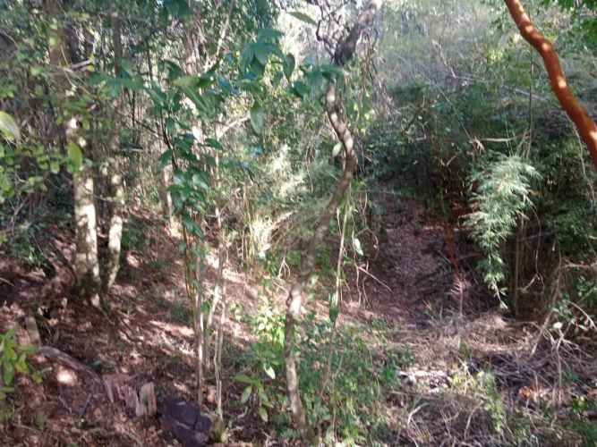 PARCELA Camino a Quilaco Km 4, Pucón