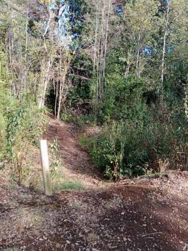 PARCELA Camino a Quilaco Km 4, Pucón